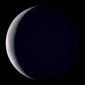 Meet your Posher, Adriana